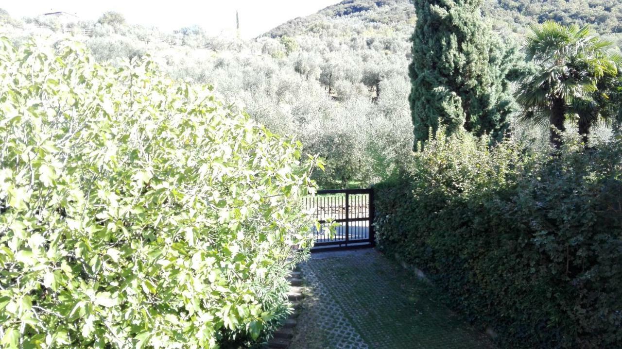 Terrazza Sugli Ulivi Apartment Riva del Garda Luaran gambar